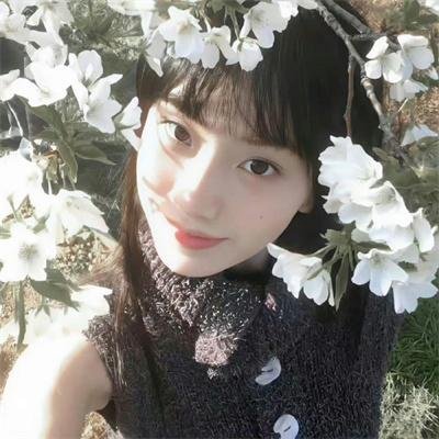 圣·弗朗西斯